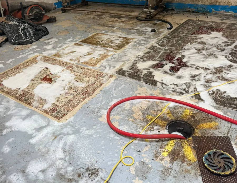 Lavage complet d’un Tabriz en laine
